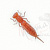 ВИБРОХВОСТ FRAPP DOTTY DART 6.0" #26
